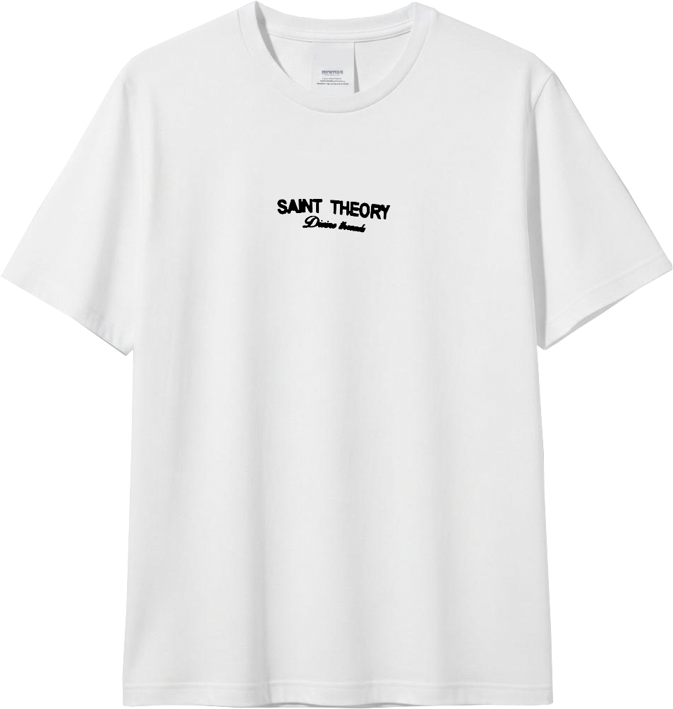 CAMISETA OVERSIZE SAINT THEORY