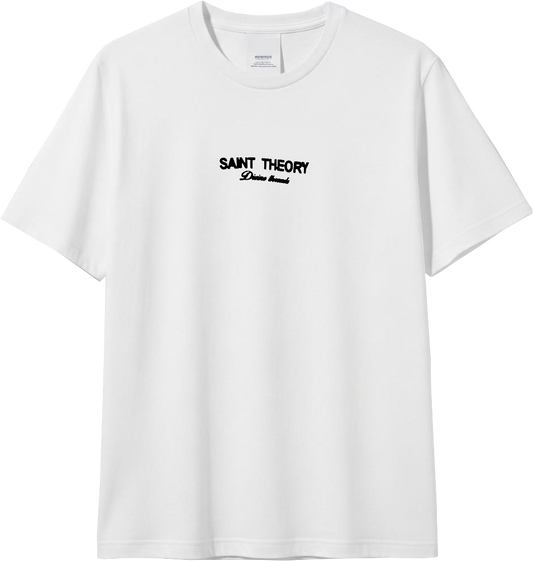 CAMISETA OVERSIZE SAINT THEORY